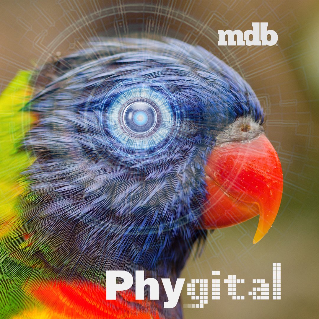 markdebrandww's tweet photo. Physical environment is not destroyed is transformed, coming 🔜 #Phygital
#BePhygitalBeMarkdebrand #Marketing #Strategy #PhygitalExperience  #campaign #march https://t.co/jF1c3VAMS8