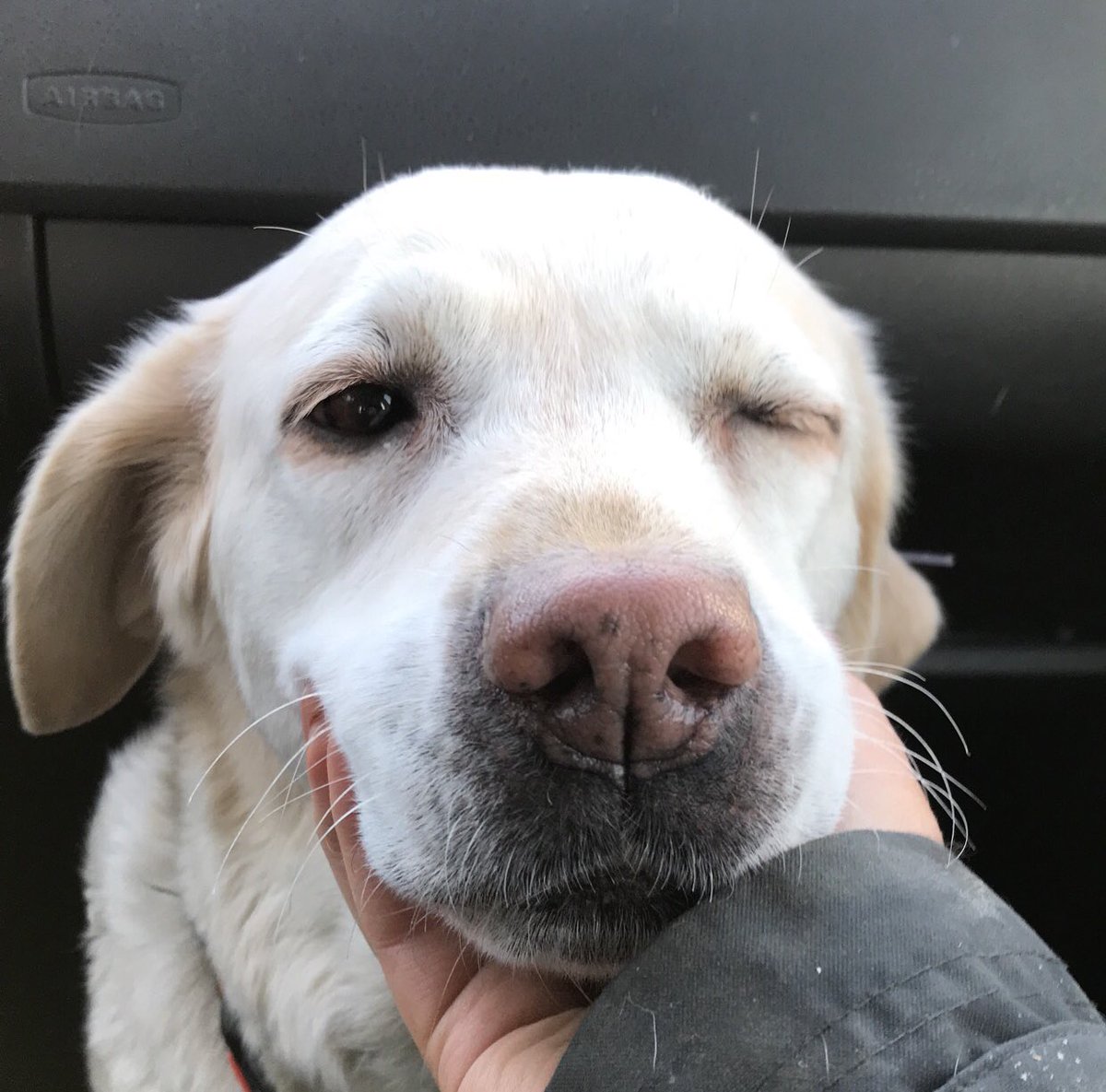 Hun er með betri viðreynslutakta en eg sja þetta blikk