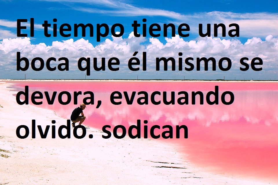 sodican films. Music tweet media