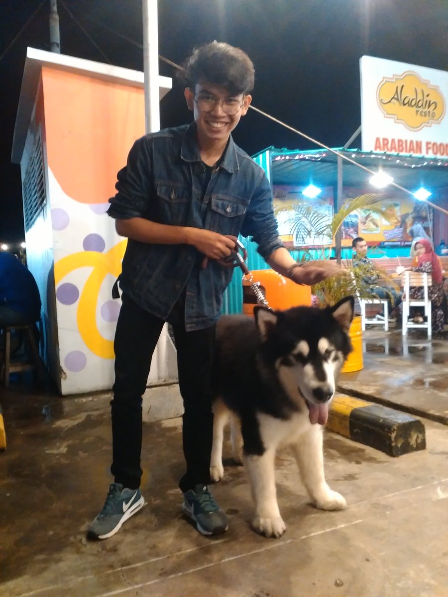 chun10p's tweet photo. Alaskan malamute, he's so cute there, but no when barking 😂 https://t.co/sIk0o87qpw