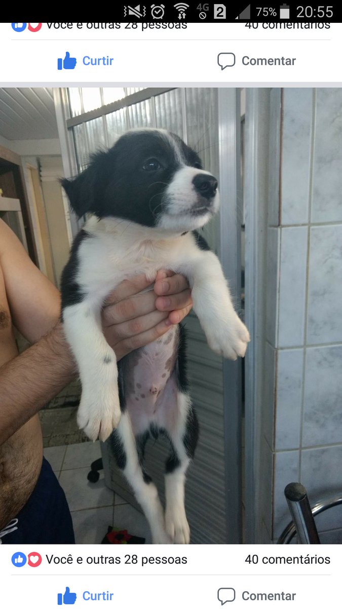 charliton pena de Ol (@olcharliton) on Twitter photo 