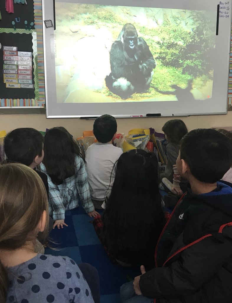 Virtual zoo visit to kick off our all about animals zoo unit #bethezookeeper #LATIinK #welovealltheanimals <a href="/CenterGroveES/">Center Grove</a> <a href="/Soldisays/">Danielle Soldivieri</a>