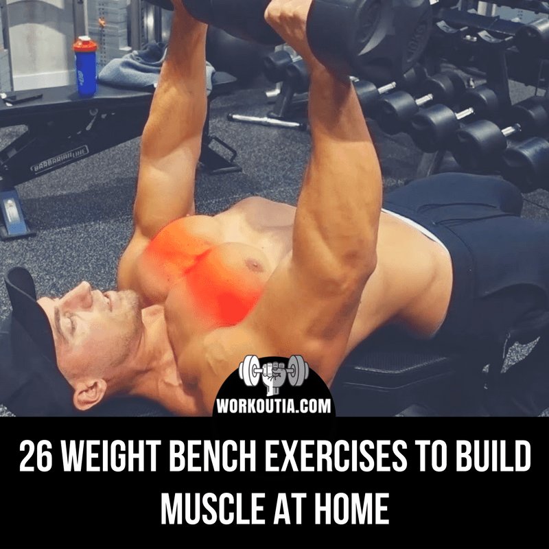 HapppyViola's tweet image. 26 Weight Bench Exercises to Build Muscle At Home workoutia.com/weight-bench-e… #workoutbench #workout