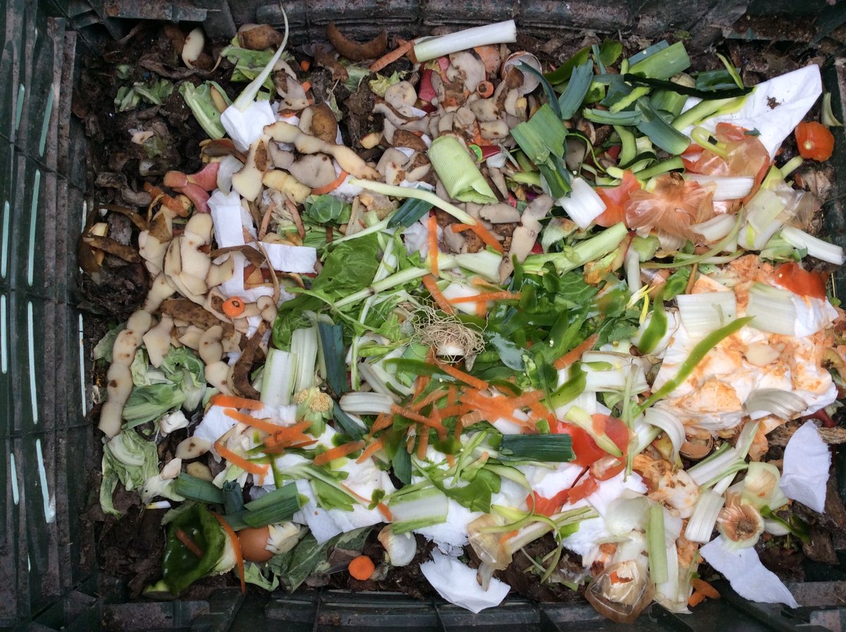 ReciclaAsPontes's tweet photo. SEMENTES INFORMATIVAS
Xente de @AsPontes! Lembrade que o tamaño ideal dos residuos que lle engadimos o noso #CompostDaCasa deber ser de 1 a 5 centímetros. Temos que cortar a monda da laranxa, que tanto nos gusta, xa que facilita a descomposición.
Si! como os da foto está ben! https://t.co/y71kHpxXWj