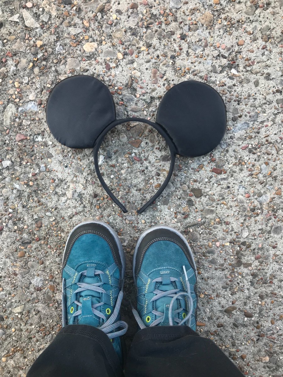It’s never too early to start endurance and walking training for #WaltDisneyWorld Summer vacation 2018. 1.7 miles today. #SpringBreakGoals