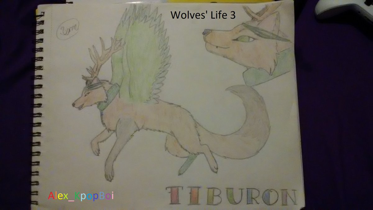 Shyfoox On Twitter Adoreable - wolves life fan art roblox