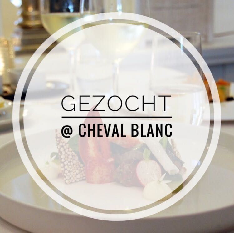ChevalBlancNL's tweet photo. Cheval Blanc is op zoek naar een gastheer/gastvrouw voor 24 uur in de week. Ben jij 18 jaar of ouder en heb je horeca ervaring? Dan zijn wij op zoek naar jou! 

Stuur je CV naar info@cheval-blanc.nl of bel ons via 023-5293173 📞 https://t.co/dN9Vwadroj