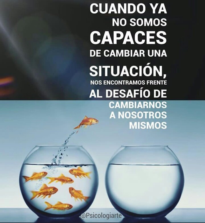 ConectateconCUR's tweet image. 