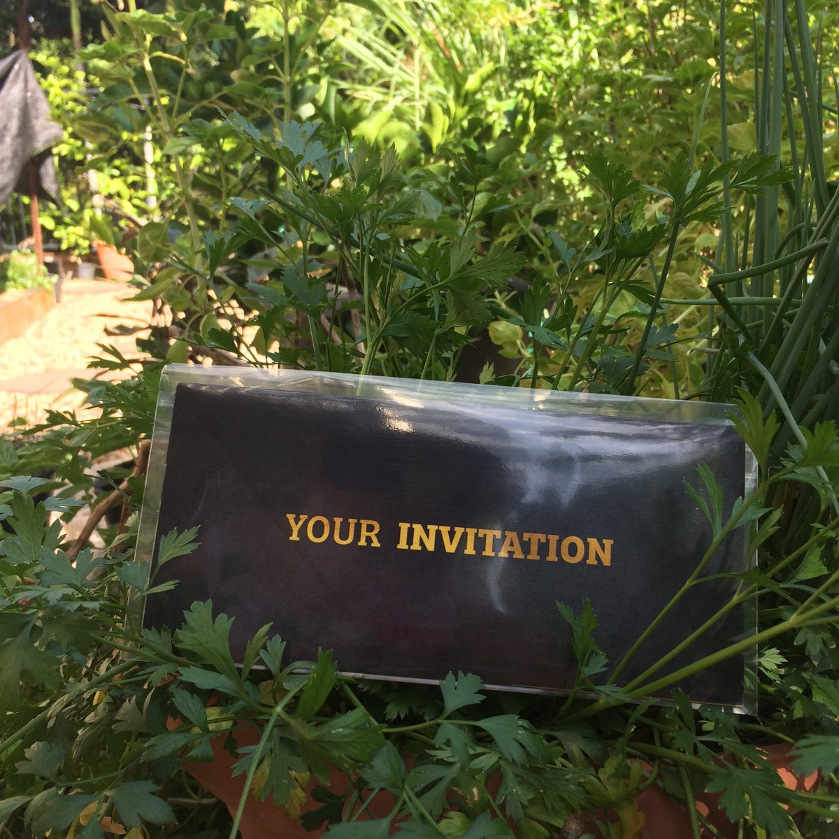 Invites have been sent for the #WagyuFullbloodSale , head to our website to register your interest before tickets go on sale.  wagyufullbloodsale.com.au