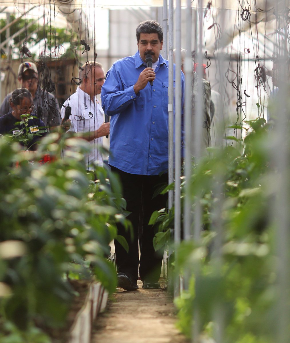 tmaniglia's tweet photo. TEXTUAL CLARITO Y ¡OJALÁ! OCURRA
@NicolasMaduro "Bernal, coordinen con la Presidenta de la ANC y hagamos una reforma de las leyes para elevar la pena al máximo nivel para quienes roben la comida del pueblo en los programas como los CLAP. Vamos a aumentar eso a 25 años" https://t.co/evyzHNC96M