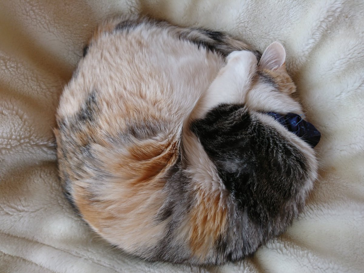 漆墨kg Daqwkg Twitter