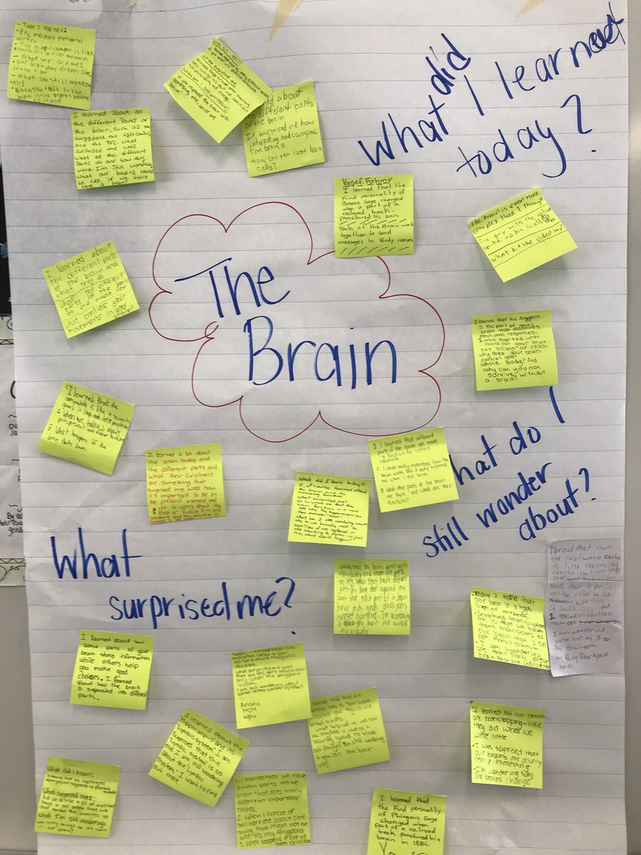 mgmacmillan's tweet photo. Look what we learned about the brain! Making connections this morning with @maplecreekSD43 Ms Burdock’s 6/7’s on brain function and mindfulness - thanks for a great morning! @kimschon @HarpreetEsmail @RobertGZambrano @McCombAndrea @sunshinerach2 https://t.co/vb1thQ2DKF