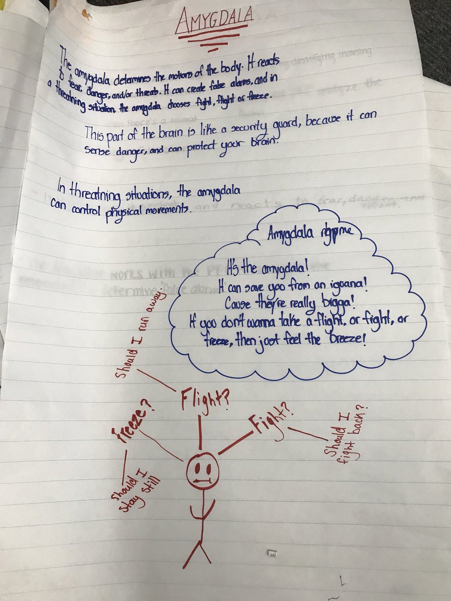 mgmacmillan's tweet photo. Look what we learned about the brain! Making connections this morning with @maplecreekSD43 Ms Burdock’s 6/7’s on brain function and mindfulness - thanks for a great morning! @kimschon @HarpreetEsmail @RobertGZambrano @McCombAndrea @sunshinerach2 https://t.co/vb1thQ2DKF