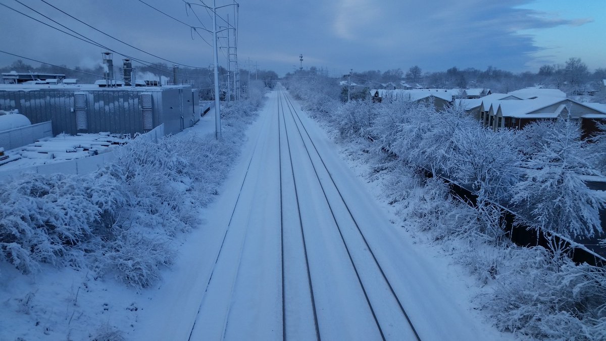 WileyJoseph's tweet photo. A wet heavy snow weighed everything down and then mostly melted https://t.co/CCd8fi2SJ2