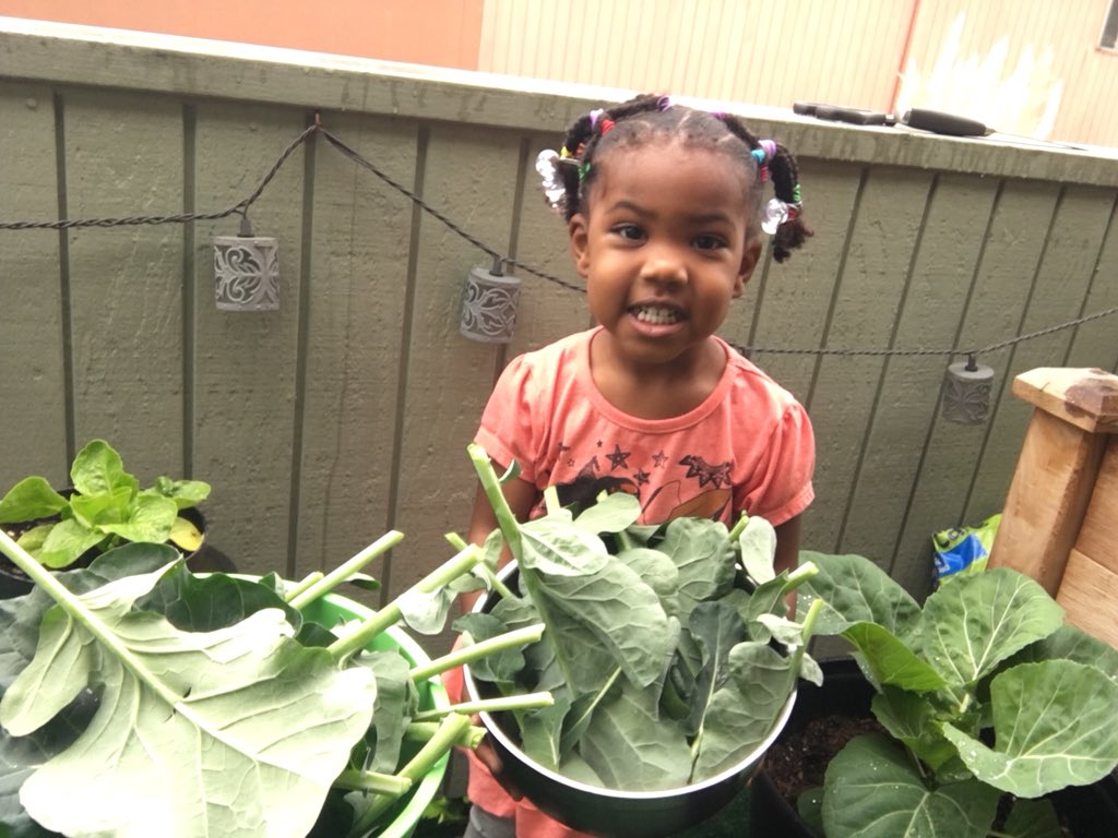 Rod_Noir's tweet photo. Me and Tayls in that garden gettin it poppin. Broccoli 🥦 harvest.

#GrowYourOwn #Food #BlackFathersMatter #Fatherhood #DaddyDaughter #Garden #UrbanGarden https://t.co/GBkiZBVMkD