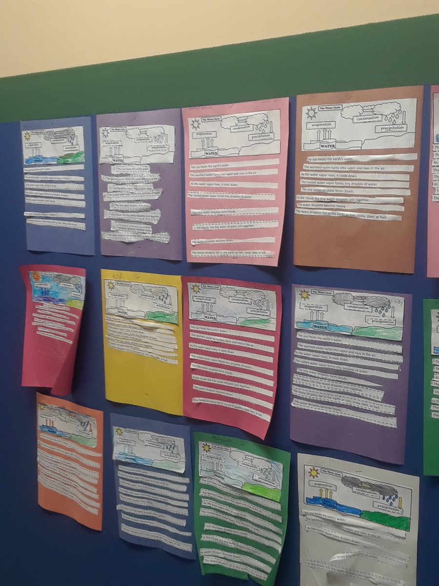 FCCS_School's tweet photo. Second Grade Scholars learn a lot of science. Here, they made 3-D models of the Earth, water cycle summaries, and the parts of volcanoes. #truegoodbeautiful #nextgensciencestandards #ClassicalEd https://t.co/uEQnONuFBT