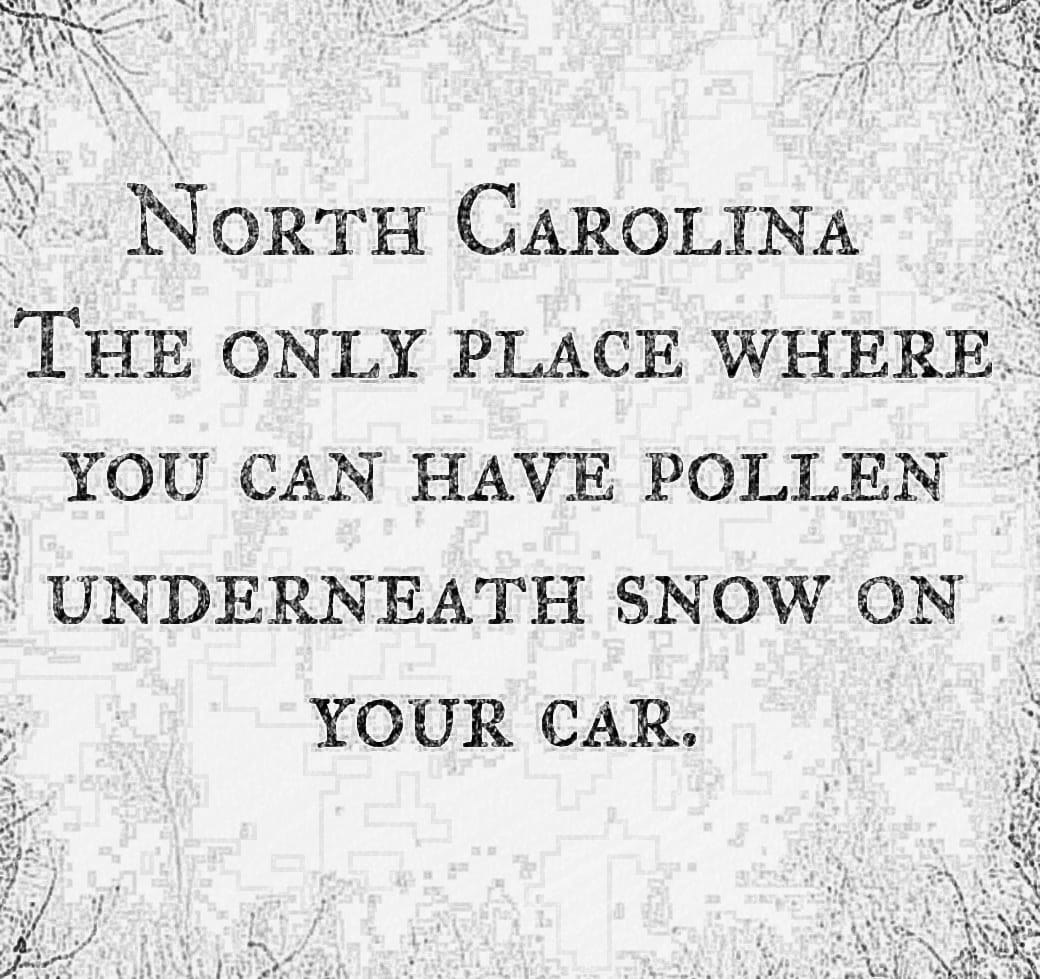 mgollnick1's tweet photo. #Truth #LiveNC https://t.co/R44xxp2s5w
