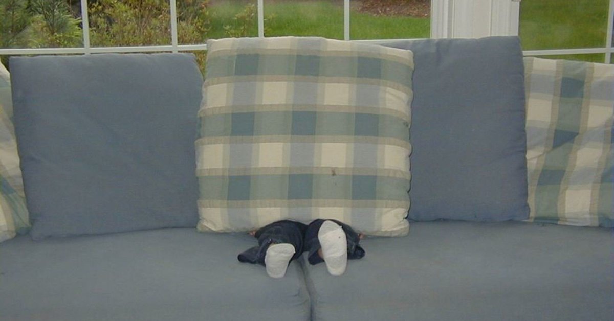 mydadpod's tweet photo. 37 Photos That Show How Hilariously Bad Little Kids Are At Hiding (Via @HuffPostParents) https://t.co/WJaCkOiZp0 https://t.co/bNPxpJa0LM