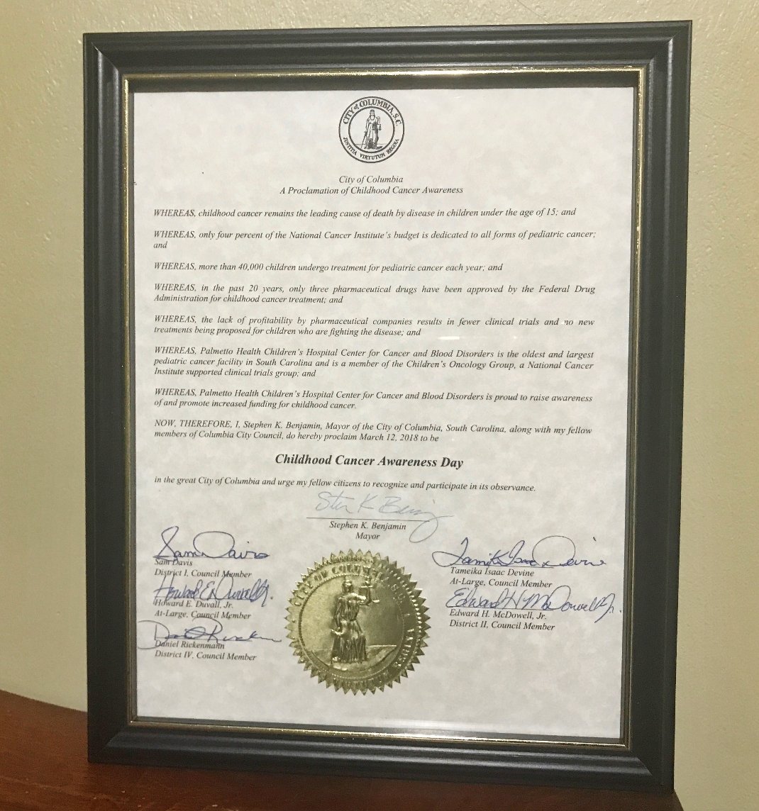 scwithpurpose's tweet photo. Even though #ChildhoodCancerAwarenessDay in Columbia is over, we will continue to honor those affected by childhood cancer by living #withpurpose each and everyday. Will you join us? Learn more about how to get involved here: https://t.co/Kc5F4z7hSB. #ShineWithPurpose https://t.co/CZCAQeXTYP