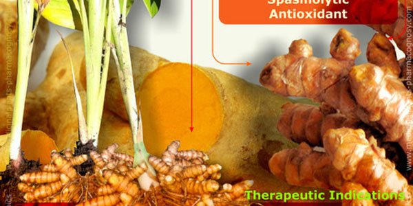 AHealthBlog's tweet image. Study Shows Curry Spice to be Potential Tendonitis Treatment ➡ ahealthblog.com/m06r