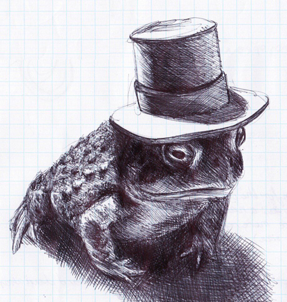 Awesome drawing of Mr Toad :) It turned out great! Check out more of her work: instagram.com/velvetsart