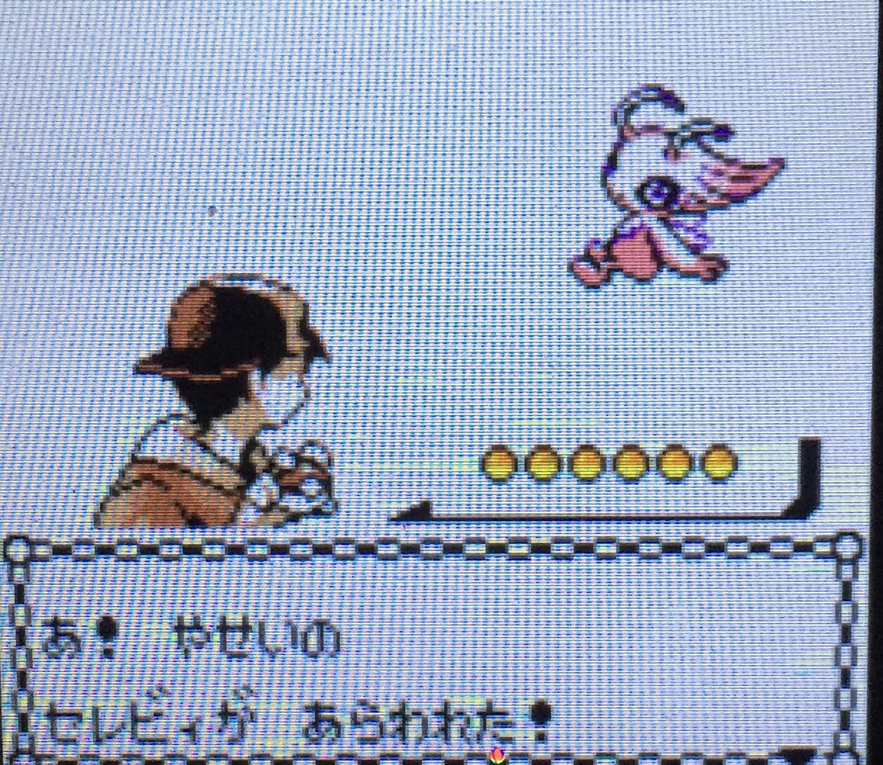 紅丸ポケモン垢 Nsrq9q9p6wlruvk Twitter