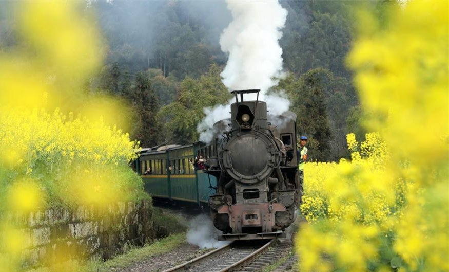 CCTV's tweet image. A Jiayang steam train runs along fields with blooming rapeseed and peach flowers in Qianwei County, southwest China's Sichuan Province.
