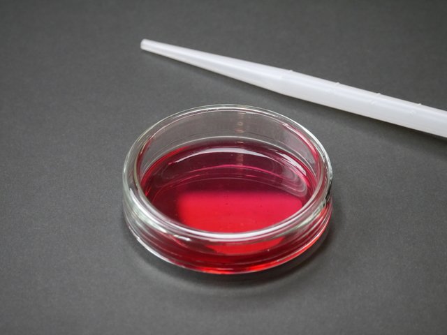 univjournal's tweet image. 低価格のiPS/ES細胞の培養方法の開発に成功、従来の10分の1に　京都大学 univ-journal.jp/19731/ #ES細胞 #IPS細胞 #再生医療 #京都大学