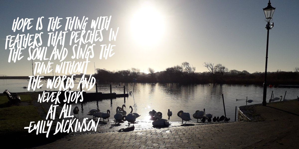 Beautiful words from #EmilyDickinson
#hope #poetryistruth #quotes