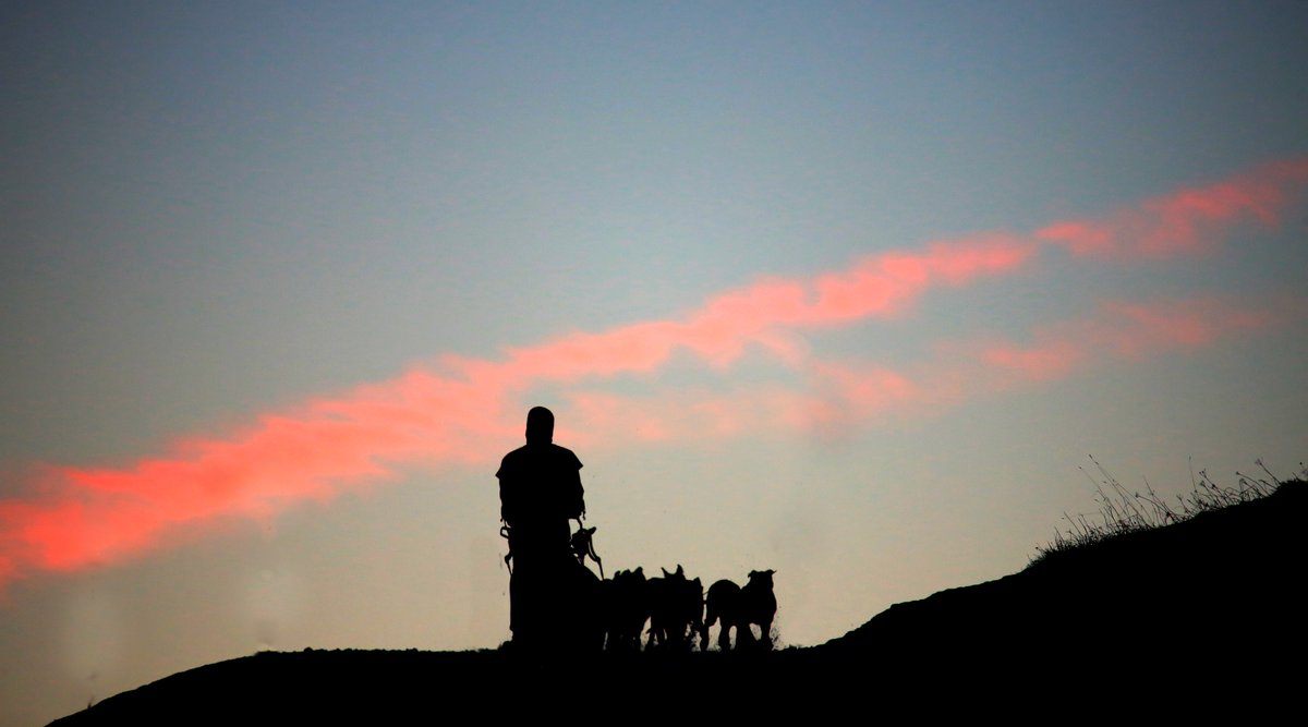Demain, la course de chiens de traîneau <a href="/lekkarod/">LEKKAROD</a> fait étape à <a href="/my_SFL/">StFrancoisLongchamp</a> pour trois jours ! Venez encourager les attelages et (re) découvrir ce sport emprunt de complicité entre ces hommes et femmes et leurs plus fidèles compagnons.
