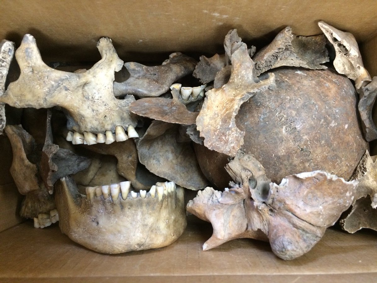 horatibro1's tweet photo. Just some mementos to represent the time we spent together in a graveyard, the time we saw a dead mans ghost, the time Hamlet killed a whole bunch of people, and all the other times death has been involved #RIPHamlet https://t.co/2PoNTgAK04