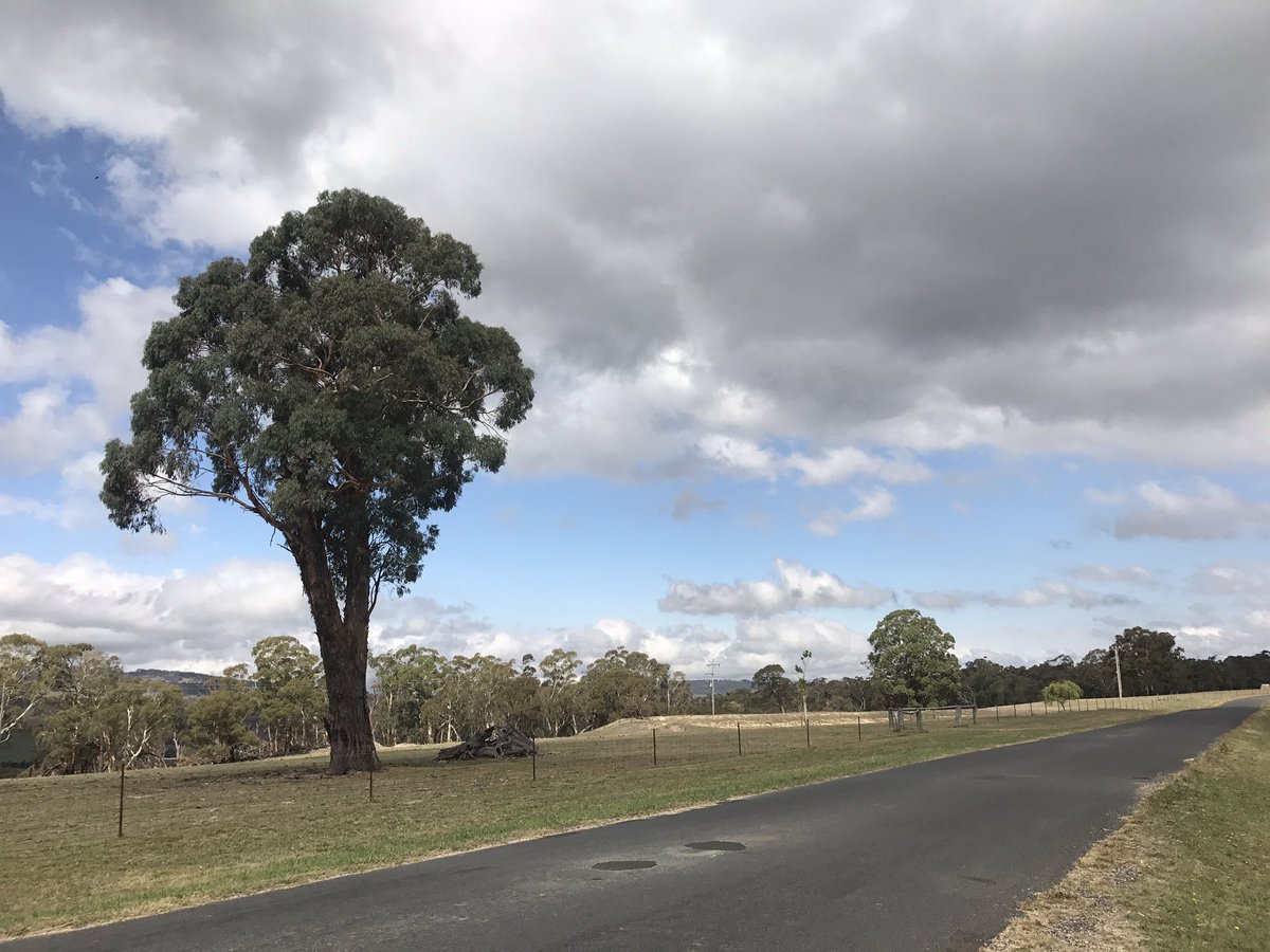 cactusian's tweet image. Something a bit more traditional

 #MyFrontGate this afternoon