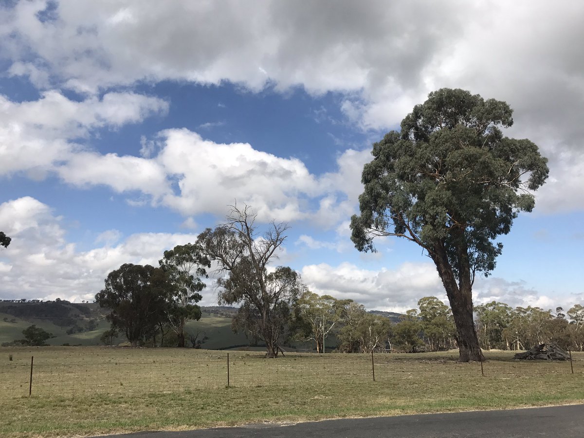 cactusian's tweet image. Something a bit more traditional

 #MyFrontGate this afternoon