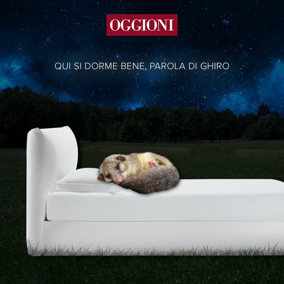 OggioniLetti's tweet photo. #buonanotte #dormirecomeunghiro #ghiro #ronfronf #zzzz #letto #oggioni #Interiors #bedroom #bonusmobili https://t.co/XpdGRQz6Ma