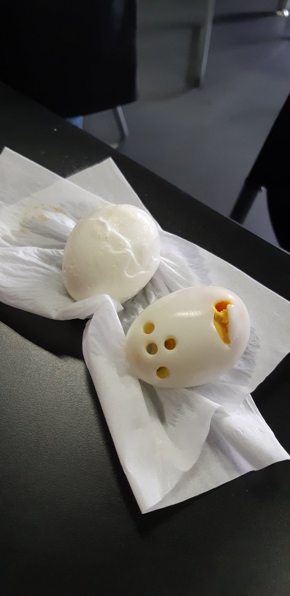 MsAMichaels's tweet photo. What eggs look like in a biology lab!  #sisrocks   #sciencerocks https://t.co/rAgVZJ9vcg