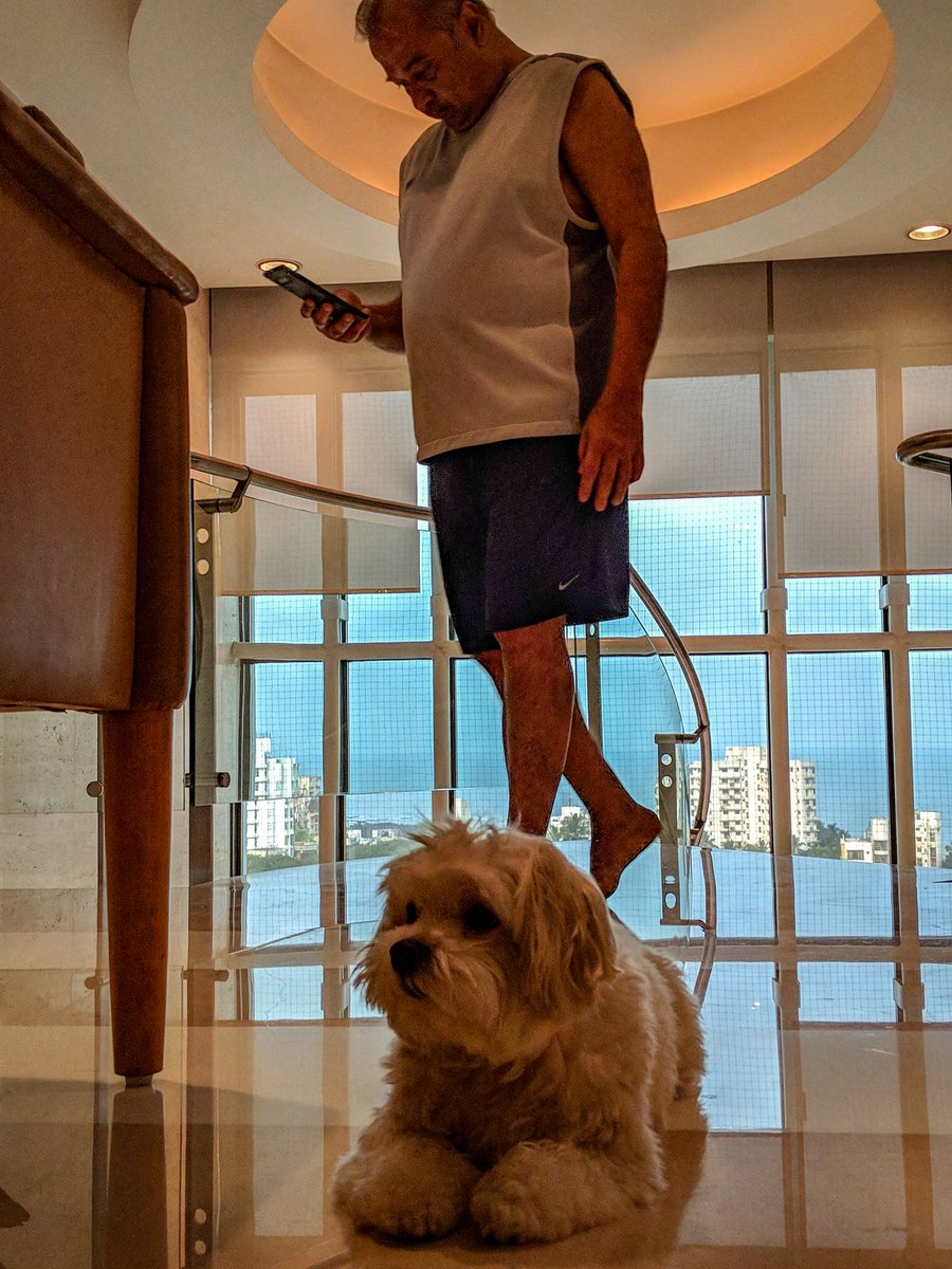 JustManoor's tweet photo. when you get the chance... make the most of it and learn from the business leaders.
#chance #getthechance #makemostofit #makethemostofit #learn #observeandlearn #observe #businessleaders #business #leaders #learnfromthebest #kenzo #puppylove #lapdog #petdog https://t.co/1jo153CwbC