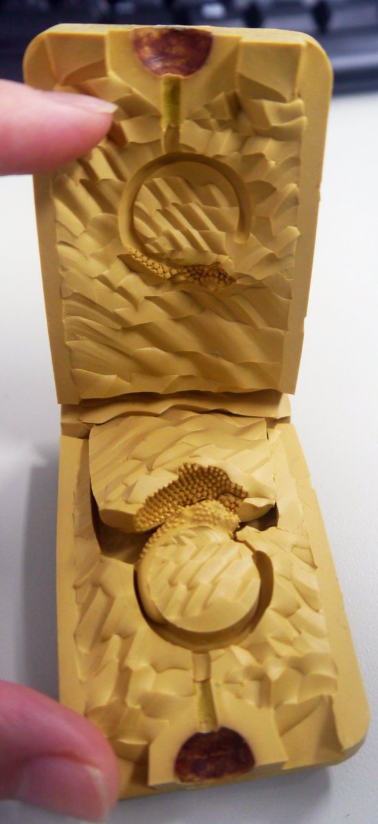 Phrozen3Djapan's tweet photo. レジン液：Phrozen新開発黒液（販売準備中）
作り流れ：3D造形→ゴム型→ワックス→シルバー

＃Phrozenmake https://t.co/tsiMXIJEnu