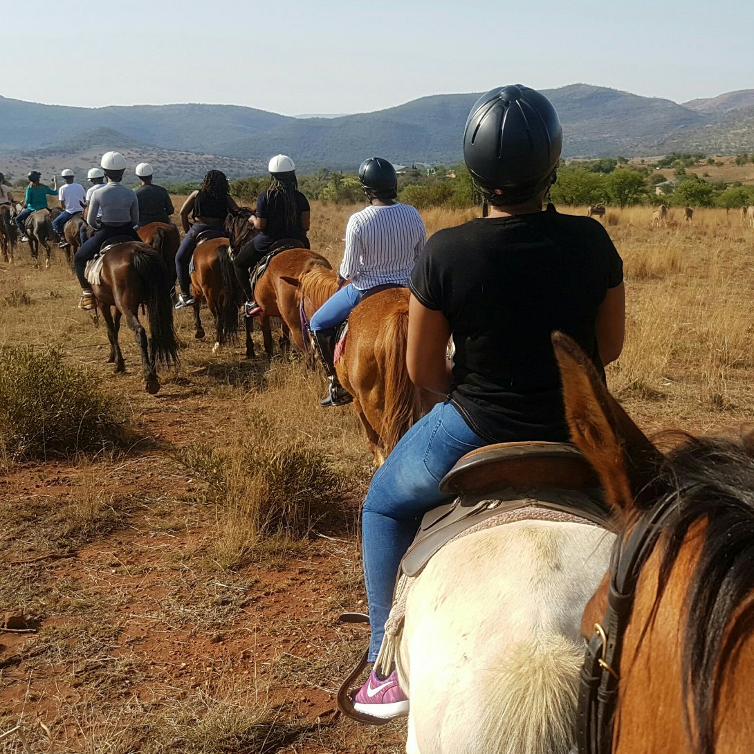 Join us for a great horseback safari!  Experience the best of horse riding and wildlife. Book online hartieshorsetrailsafaris.co.za