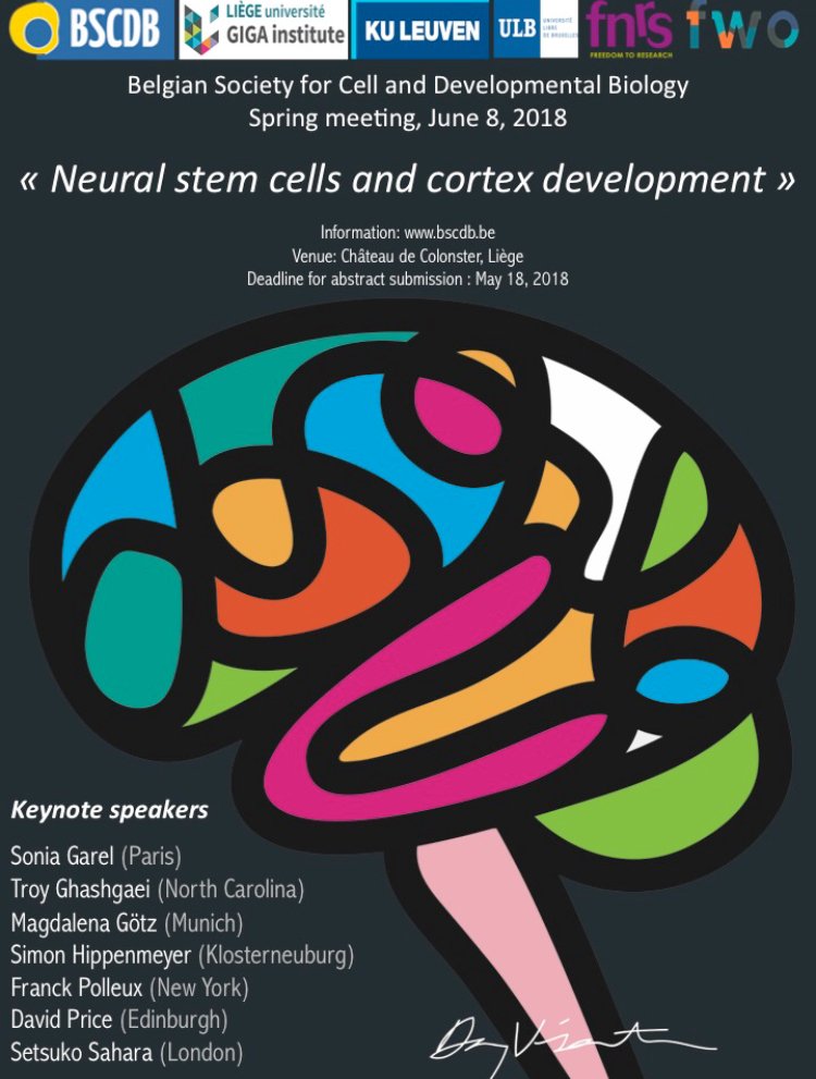 neuroliege's tweet photo. We are organizing the next Spring meeting of the Belgian Society for Cell and Developmental Biology in Liege. Great line up of international speakers talking about stem cells and cerebral cortex development! https://t.co/Q2WcnXALOW