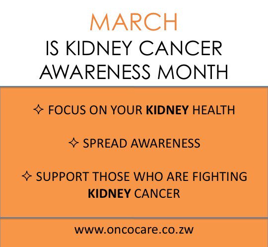 OncocareZw's tweet photo. March is Kidney Cancer Awareness month. #Harare #Cancer #kidneycancer #Twimbos #Zim https://t.co/6uvjWXTKi4