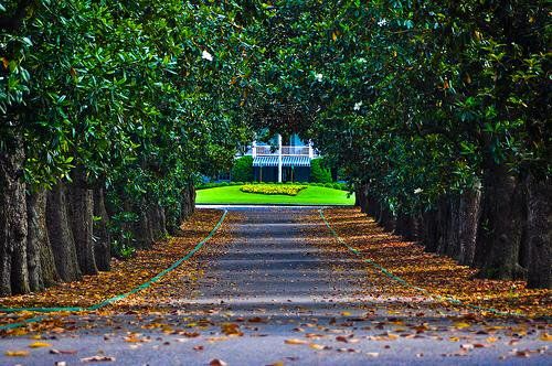 GAposts's tweet photo. Augusta, Georgia https://t.co/zOwv7O9Ohc