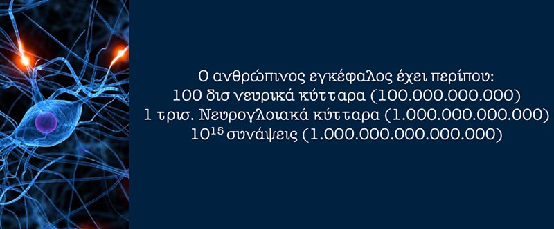 exploringtbrain's tweet photo. Σας  περιμένουμε στο Κέντρο Πολιτισμού Ίδρυμα Σταύρος Νιάρχος στις 17 &amp; 18  Μαρτίου 2018 για να σας δείξουμε το πιο πολύπλοκο όργανο του ανθρωπίνου  σώματος.  Προβολή ταινίας σε πλανητάριο, τμήματα πραγματικού εγκεφάλου, μικροσκόπια, δραστηριότητες για παιδιά κ.α. https://t.co/zVbdXbGkzS
