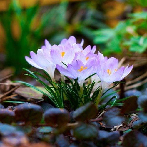 Wishing you all a beautiful new week !!