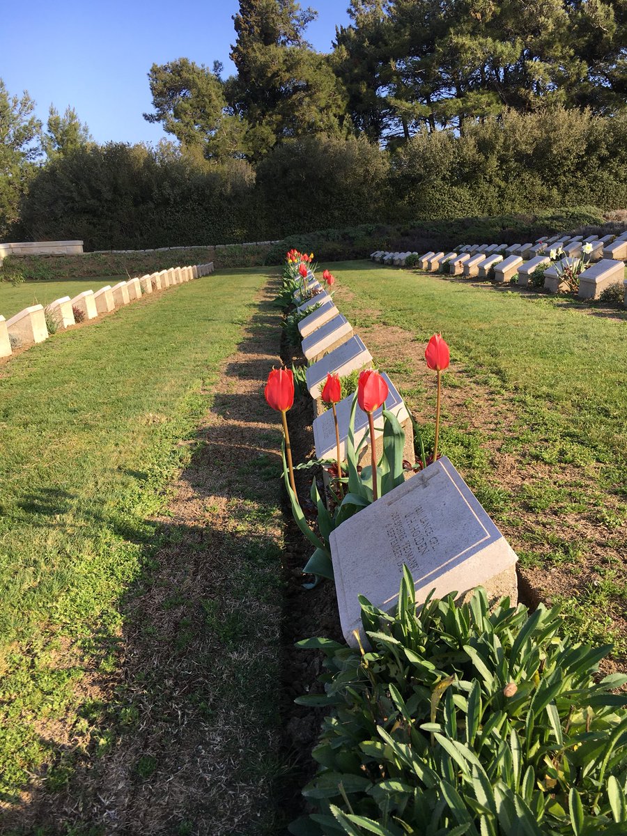Umit_Kygz's tweet photo. Good Morning @CWGC  my #tulip in #GreenHillCemetery 🌷🌷🌷@Bennett22David  @Tom53059787  @bnbgundogan https://t.co/VB3tVQAu5a