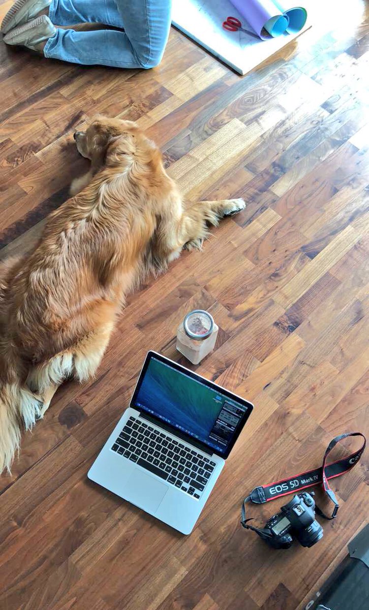 MisterRare tweet media