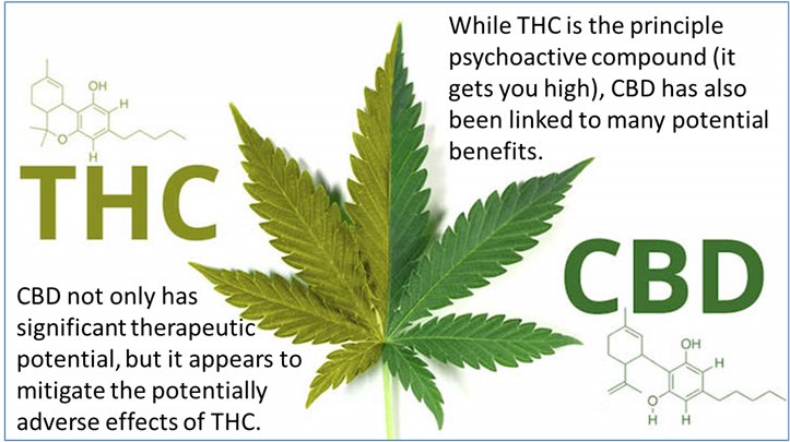 HEMPSOUL1's tweet photo. Two most-studied #cannabinoids are THC and CBD ."CBD is like THC's responsible twin. It looks out for you and makes sure you get home safely. https://t.co/8w945gUND5