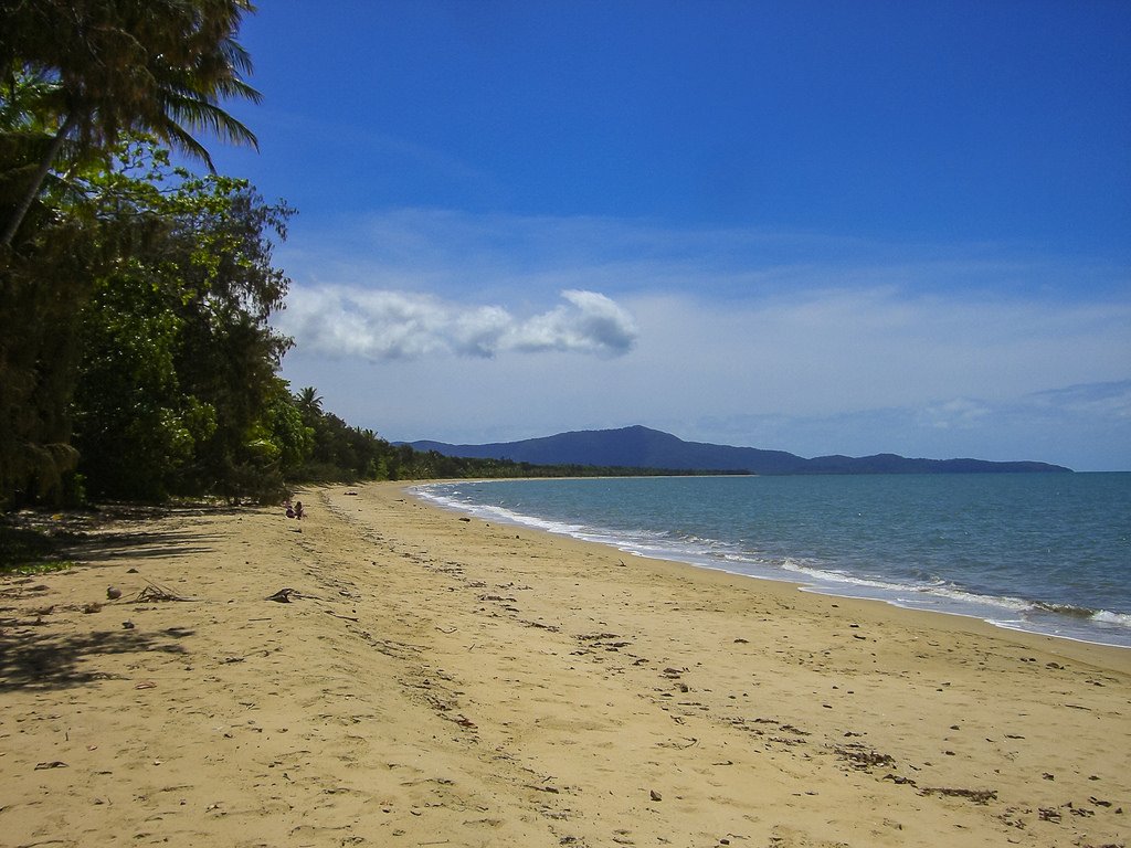 prosaicjames's tweet photo. Holiday to Australia and How to do Daintree National Park at https://t.co/o48HlbsRTn https://t.co/IBBuFAdxb1