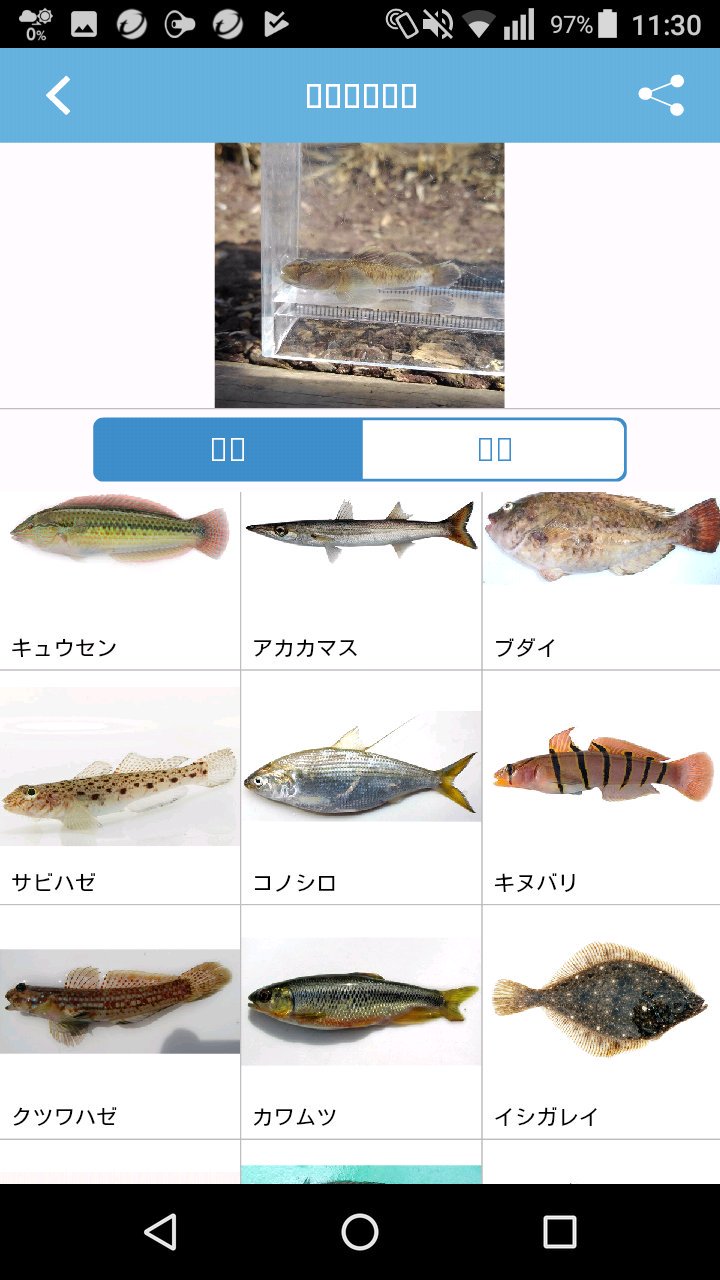 魚みっけ Twitter Search Twitter