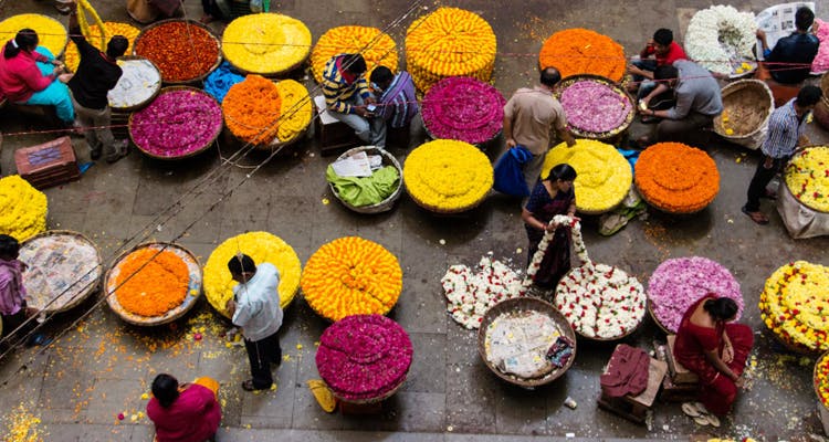 CitrusIndia's tweet photo. There are many amazing places for newcomers to see in Bangalore. Check them out here. https://t.co/0xr6cHC4Y1 https://t.co/d0Cuvck8iI