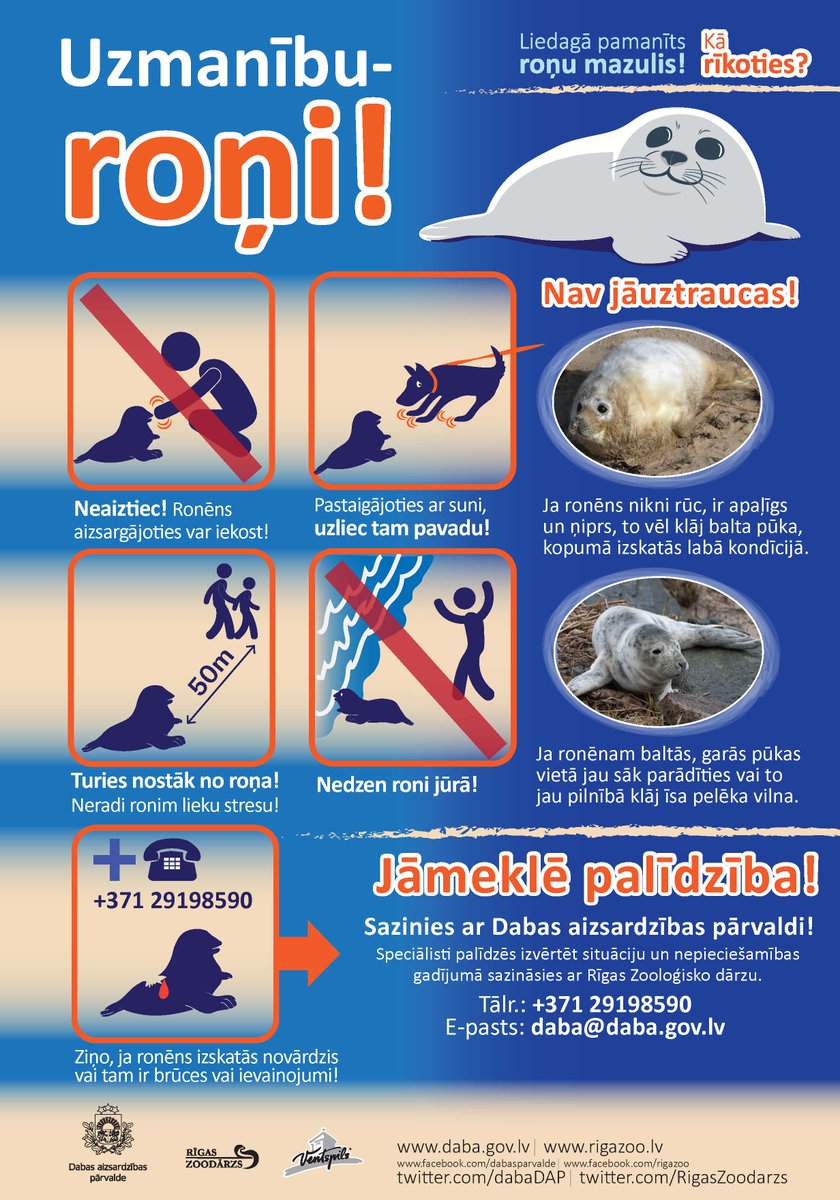 dabaDAP's tweet photo. Roņu laiks klāt – Liepājas pusē piekrastē uziets pirmais pavasara roņu mazulis. Taču ne visiem ronēniem vajadzīga palīdzība  - šeit soli pa solim izskaidrots, ko darīt, ja piekrastē sastapts ronēns. https://t.co/JJ0pbN18HB … https://t.co/5UDKRPSAfH